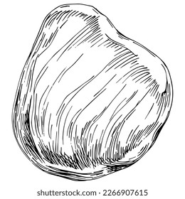Stone Monochrome sketch vector. Gravel And Pebble. Natural Rocky Slate Lump Engraving Template Hand Drawn In Retro Style Black And White Illustration