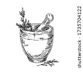 Stone mortar with herbs. Sketch. Engraving style. Vector illustration.
