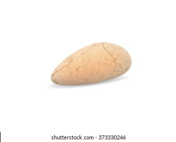 Stone on a white background. Pebble stone. Vector.