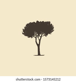 Stone Pine, hand drawn silhouette. Vector sketch of mediterranean coniferous tree.