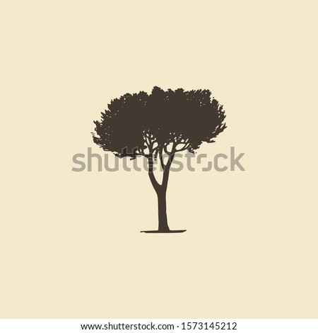 Similar – Image, Stock Photo pine Stone pine Tree