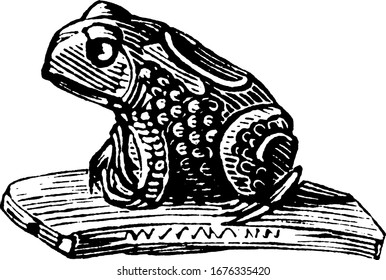 A stone pipe bowl depicting a frog made by Native Americans. Showing a frog in three different size of images in it, vintage line drawing or engraving 