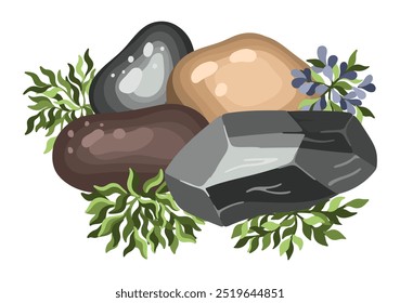 Stone and plant composition for architectural sketches. Entourage elements for landscape design. Succulents. Vector illustration.