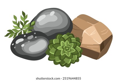 Stone and plant composition for architectural sketches. Entourage elements for landscape design. Succulents. Vector illustration.