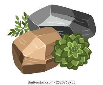 Stone and plant composition for architectural sketches. Entourage elements for landscape design. Succulents. Vector illustration.