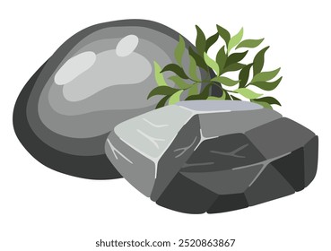 Stone and plant composition for architectural sketches. Entourage elements for landscape design. Succulents. Vector illustration.