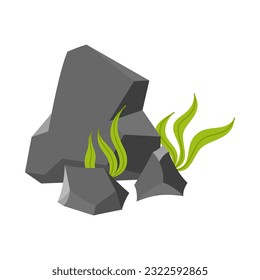 Stone rock and plant bushes shrub vector illustration collection set for game asset green graphic element. Rock stone illustration template collection set for forest or park illustration element.