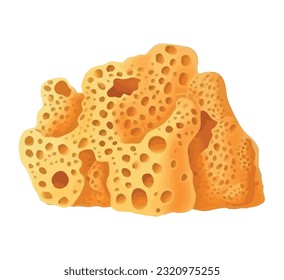 stone of sea nature isolated