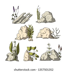 Stone vector set with plants. Mineral cartoon outdoor vector set.