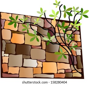 Stone wall background, jpg file is also available