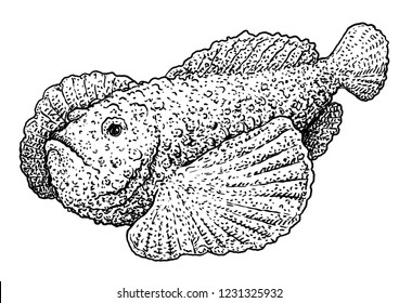 Stonefish illustration, drawing, engraving, ink, line art, vector

