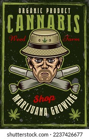 Hombres fornidos se dirigen con sombrero de balde y cruzan el afiche decorativo de las ruinas de color añejo para la compañía de cultivo de marihuana. Ilustración vectorial con texturas gruesas y texto en capas separadas