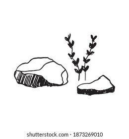 stones and grass sketch vector