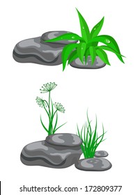 Stones with green grass