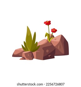 Stones and growing plants for backyard vector illustration. Cartoon drawing of summer garden element isolated on white background. Leisure, outdoor activity, nature concept