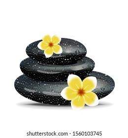 Stones pyramid with a plumeria flowers in realistic style, isolated on white background. Vector illustration.