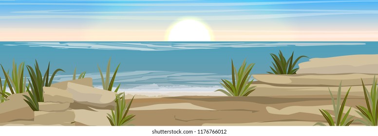 Stony coast of the sea or ocean with shards of rocks and thickets of grass. Seascape. Vector landscape