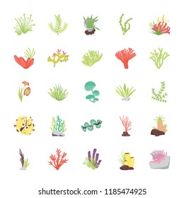 
Stony Coral Reef Flat Icons
