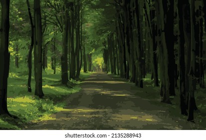 Vektorgrafik eines steinernen, von Bäumen gesäumten Waldweges. Fantastische Natur und magischer Ort. Faszinierender Wald. Sonnenschein, der durch die Bäume sickert.