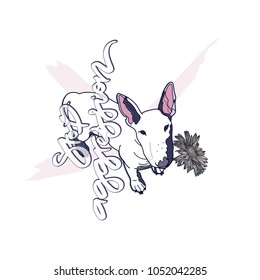 Stop aggression. Bull terrier dog with chamomile flower in his mouth and hand drawn lettering on white background. Vector illustration.