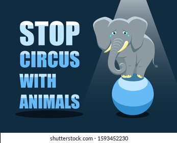 Stop circus with animals. Poster against abuse animals in circuses. Banner with text and grey elephant on the ball on blue background. Problem of exploitation of wild animals in circuses.