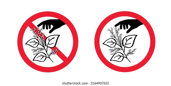 Stop don't pick or pluck the Fallopia japonica or Polygonaceae, Asian,or Japanese knotweed. Medicinal plant logo or pictogram Cartoon vector plucking icon or symbol. Plant with leaves and flower