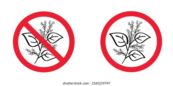 Stop don't pick or pluck the Fallopia japonica or Polygonaceae, Asian,or Japanese knotweed. Medicinal plant logo or pictogram Cartoon vector plucking icon or symbol. Plant with leaves and flower