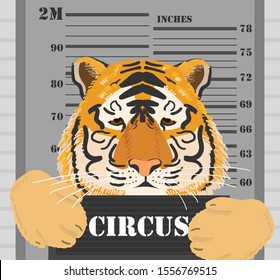 Stop Exploiting Animals In Circus Concept. Stop Animal Cruelty Concept. Vector Illustration Of Tiger Holding Board In Front Of Measuring Scale In Prison. 