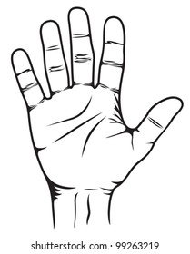 Stop Hand