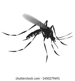 Stop malaria No mosquito bite Vector icon