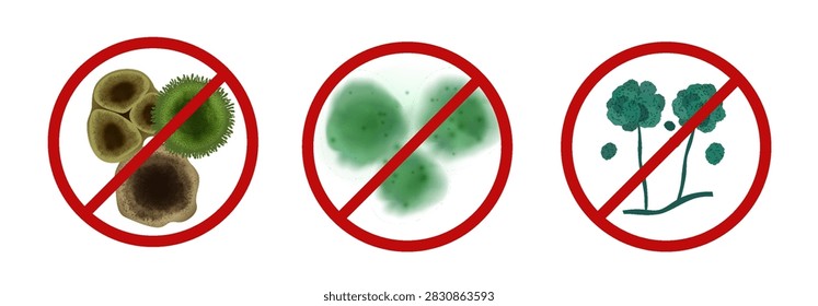 Stop mold Stachybotrys, Aspergillus and Penicillum forbidden red cross out circle signs vector set. Fungi colony growth. Spore mold, mildew infection prohibited symbol. Warning fungus hazardous taint