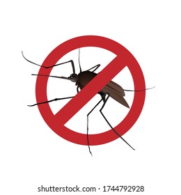 Stop mosquito sign on a white isolated background. Close up Mosquito and Stop sign.illustration for oil repellent, spray and ad patches, poster. Stock vector illustration.