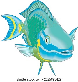 Stoplight Parrot Fish Vector Illustration