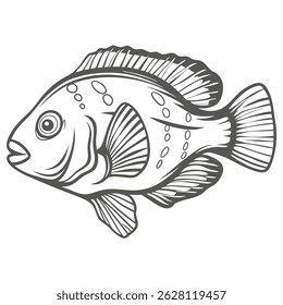 Stoplight Parrotfish Line Art Vector Illustration