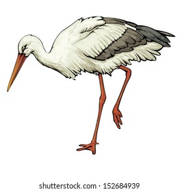 stork