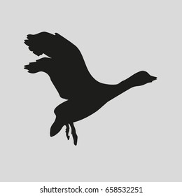 stork