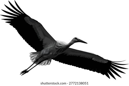 Stork bird flying with wings spread