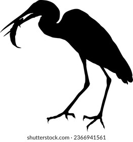 Stork Bird silhouette Vector illustration