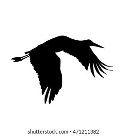 Stork bird. Vector silhouette black on white