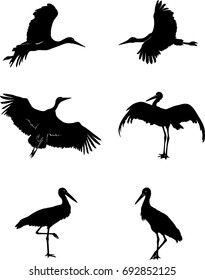 Stork, Bird, White, Black, Vector, Illustration, Drawing