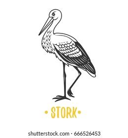 Stork. Black and white vector object.