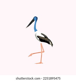 Stork or also called bango is the designation for birds from the Ciconiidae family. Large body, long legs, long neck but shorter than egrets, and has a large, strong and thick beak.