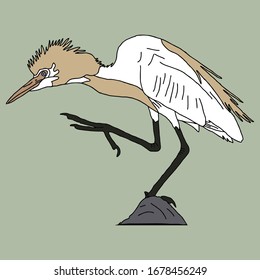stork cartoon, yellow-crested, standing on a rock with one foot. T shirt screen printing, t shirt, t shirt design, screen printing, screen print