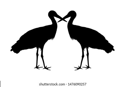 Stork couple in love vector silhouette isolated on white background. Visitant, bird migration symbol. Baby time. Spring coming symbol. Shape stork shadow.