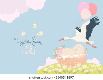 Stork delivering Baby Girl. It s a Girl. Baby Shower Card. Vector Illustration