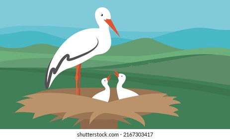 Stork feeding her chicks in the nest