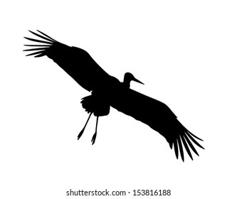 Stork in flight with wings opened wide and legs dropped.