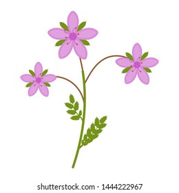 Stork flower flat icon, wild flowers, plant vector illustration isolated on white background
