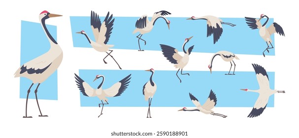 Stork. Flying crane birds collection exact vector asian wildlife creatures illustrations