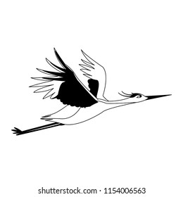 Stork flying isolated in black and white